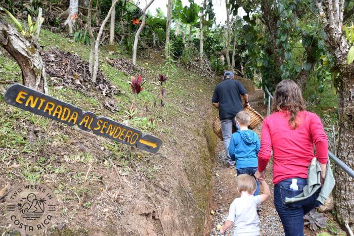 Coffee Tour Orosi