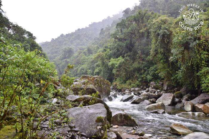 River Tapanti National Park