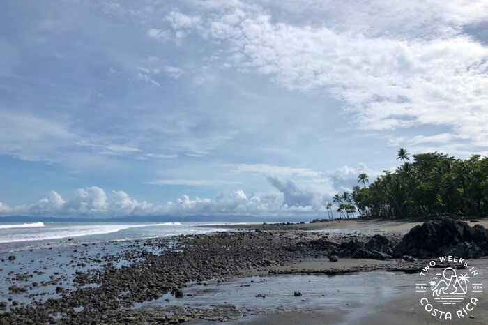 Southern Pacific Coast Costa Rica Early July