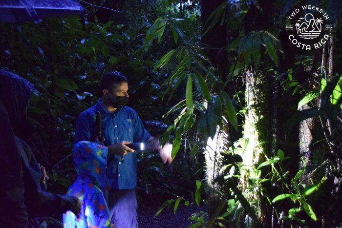 Guided Night Tour Arenal