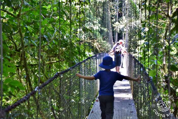 Family Hanging Bridges La Fortuna