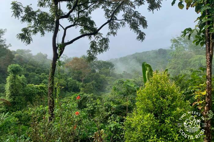 View Villa Vanilla Spice Farm