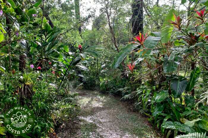 Trail Villa Vanilla Spice Farm tour