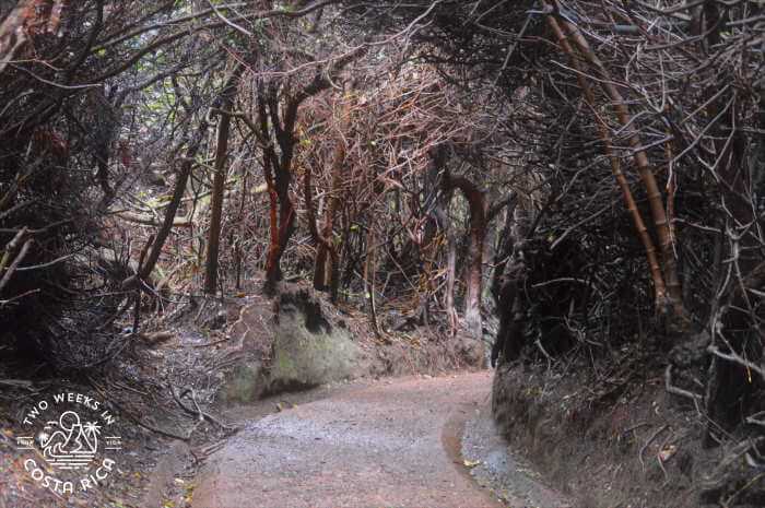 Trail Conditions Laguna Botos