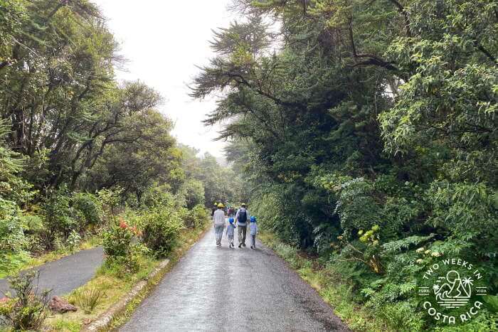 Trail to Poas Crater