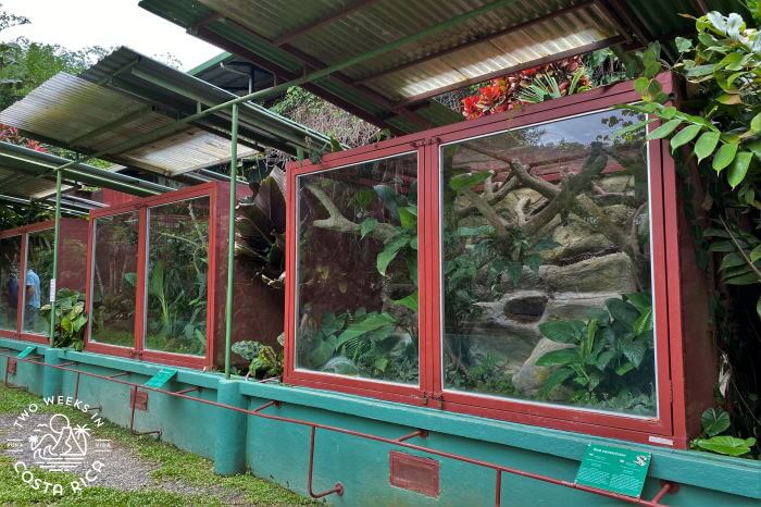 Snake Enclosures