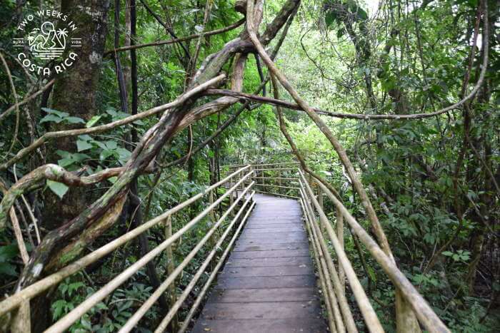 Handicap Accessible Trail Manuel Antonio