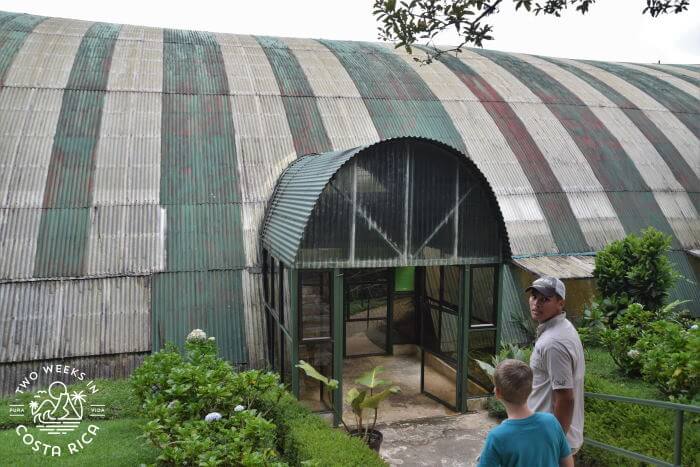 Enclosure Sloth Sanctuary