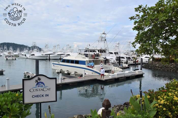 Boats docked at a large marina