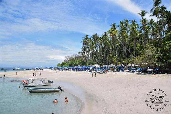 white sand beach with palm trees behind