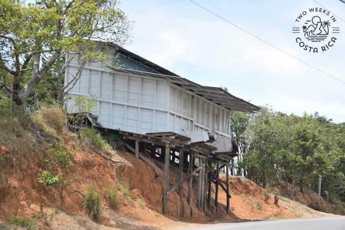 Wooden coffee shed with cutes to load trucks