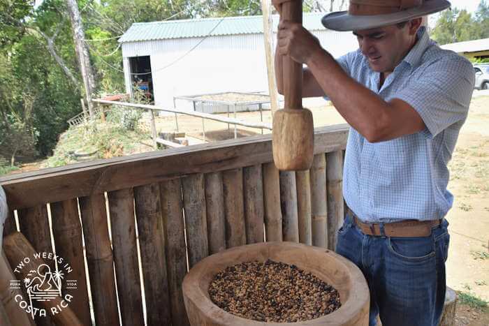 Adrian crushing coffee with a large wooden pestle 