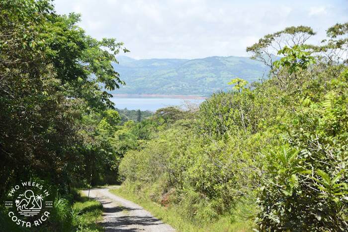 Road to Cote Lake