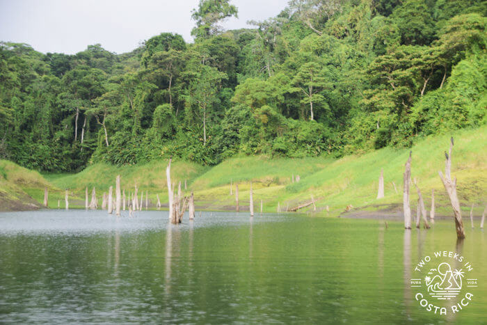 Landscape Lake Arenal