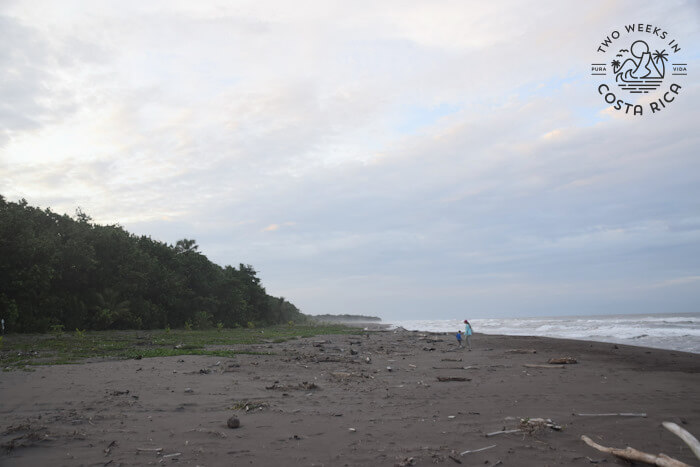 Tortuguero Beach