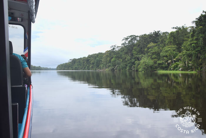 Boat taxi Tortuguero