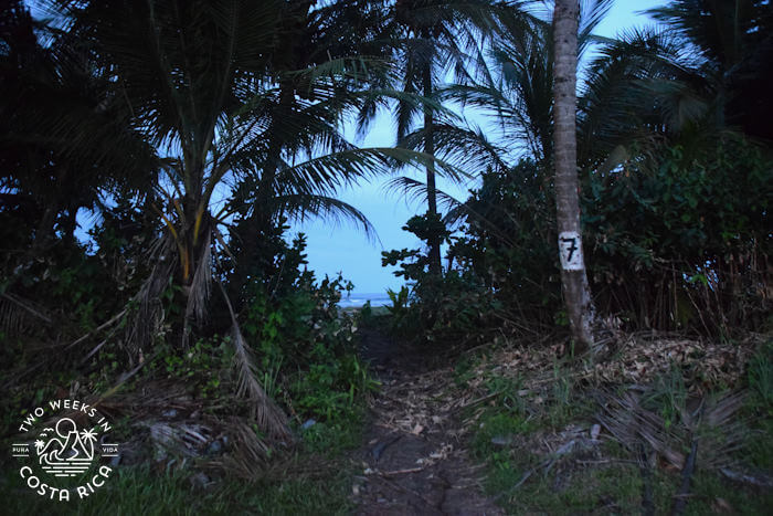 Trail Tortuguero Beach