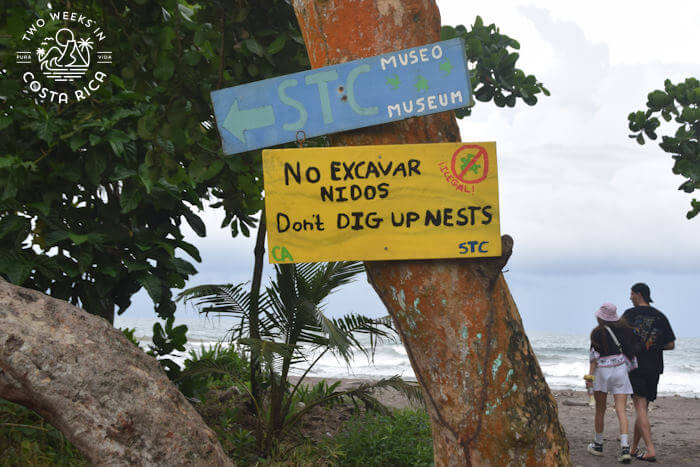 Turtle Conservation Sign