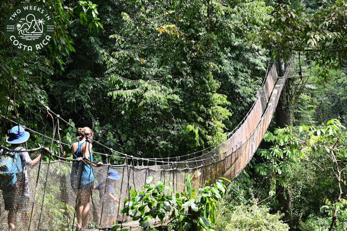 Hanging bridge Rainmaker Manuel Antonio