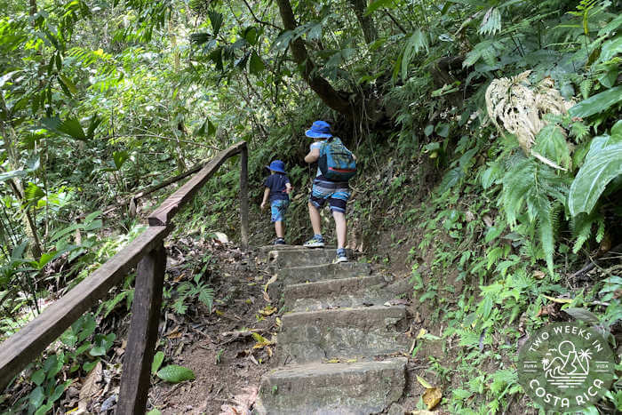 Incline Trail Rainmaker Park