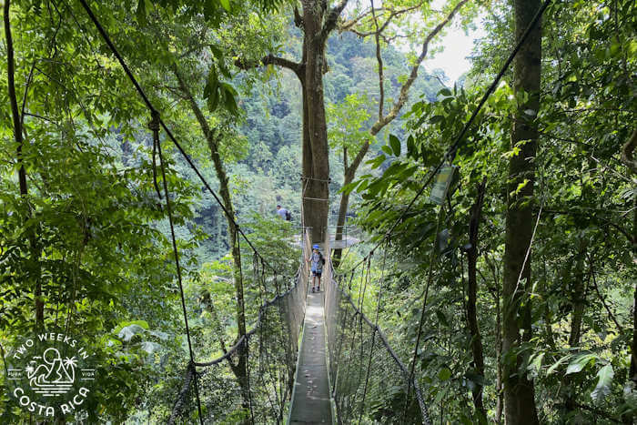 Rainmaker Nature Park