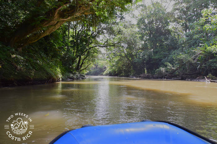 River Safari Tour Arenal