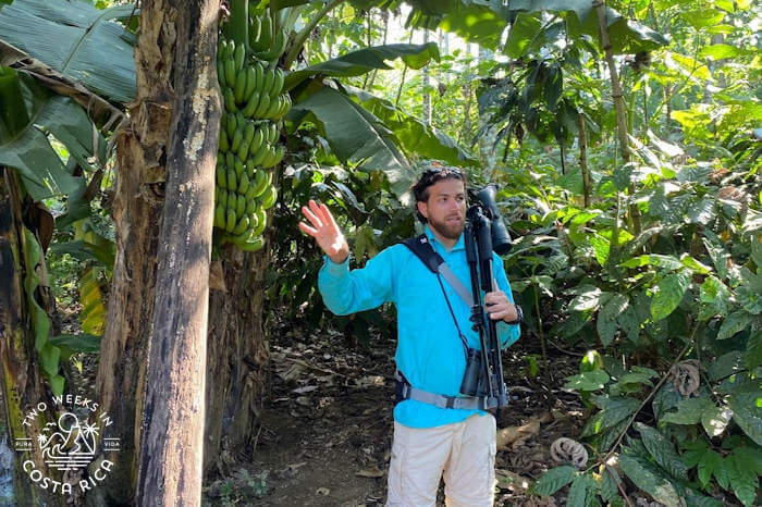 Naturalist Guide La Fortuna