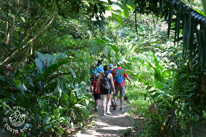 Tour to see sloths La Fortuna