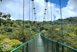 guided hanging bridges tour Selvatura