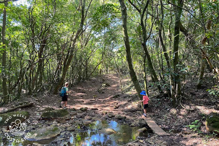 Hiking over stream Santa Maria Rincon