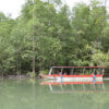 Boat Tour Isla Damas