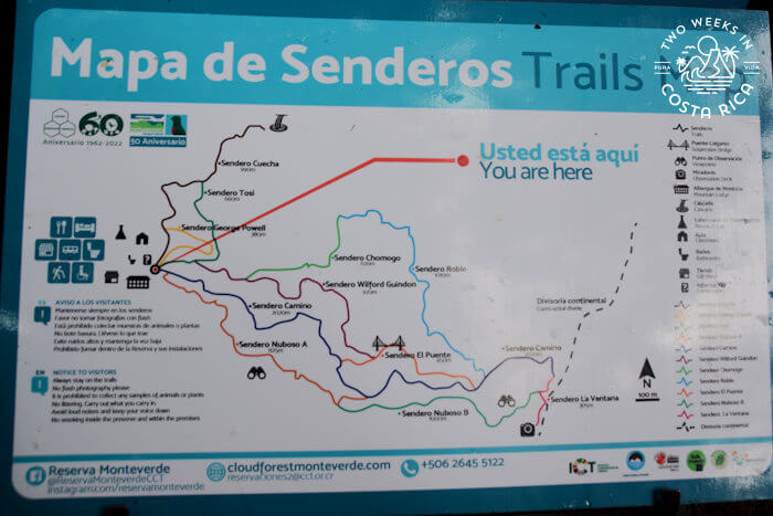 Monteverde Cloud Forest Reserve Trail Map