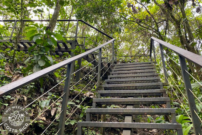 Stairs up to Arenal Viewpoint National Park