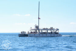 Ocean King Catamaran Boat tour
