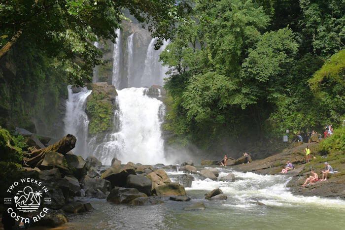 Waterfall View 