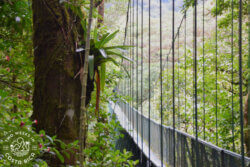 Suspension bridge with metal cables in Costa Rica