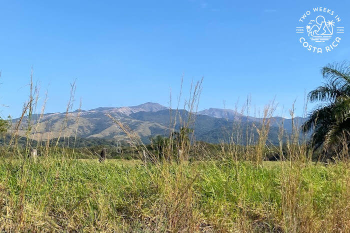 Dry grass with volcanic mountain range in background