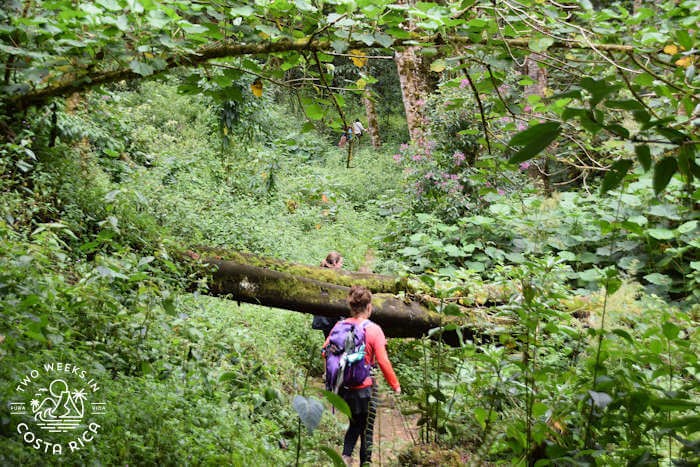 woman hiking a trail in san gerardo de dota costa rica