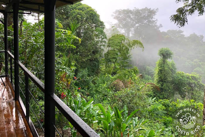 A wet porch railing with misty rainforest in background