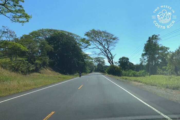 Paved empty road with shrubby trees on either side