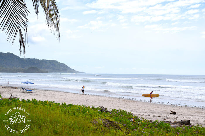 Surfers carrying their boards into the water at a beach in Santa Teresa Costa Rica