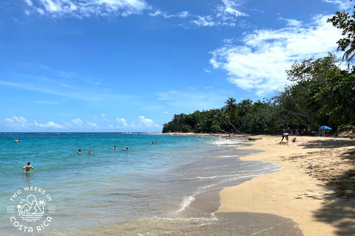 Jungle backed beach with tan sand and aquamarine water